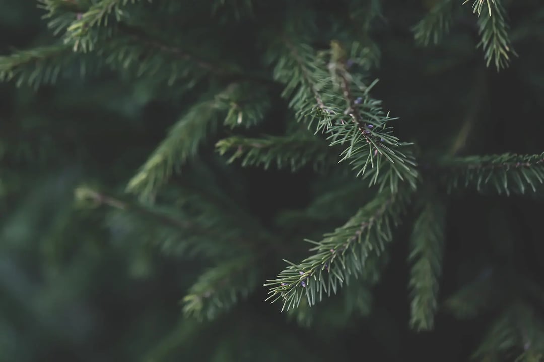 AdobeStock_344316063