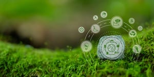 sustainability-circle-green-background
