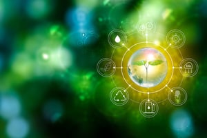 pinja-bioenergia-teemakuva