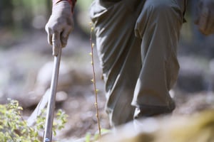 pinja.comwp-contentuploadsmenestystarina-koskisen-headerkuva